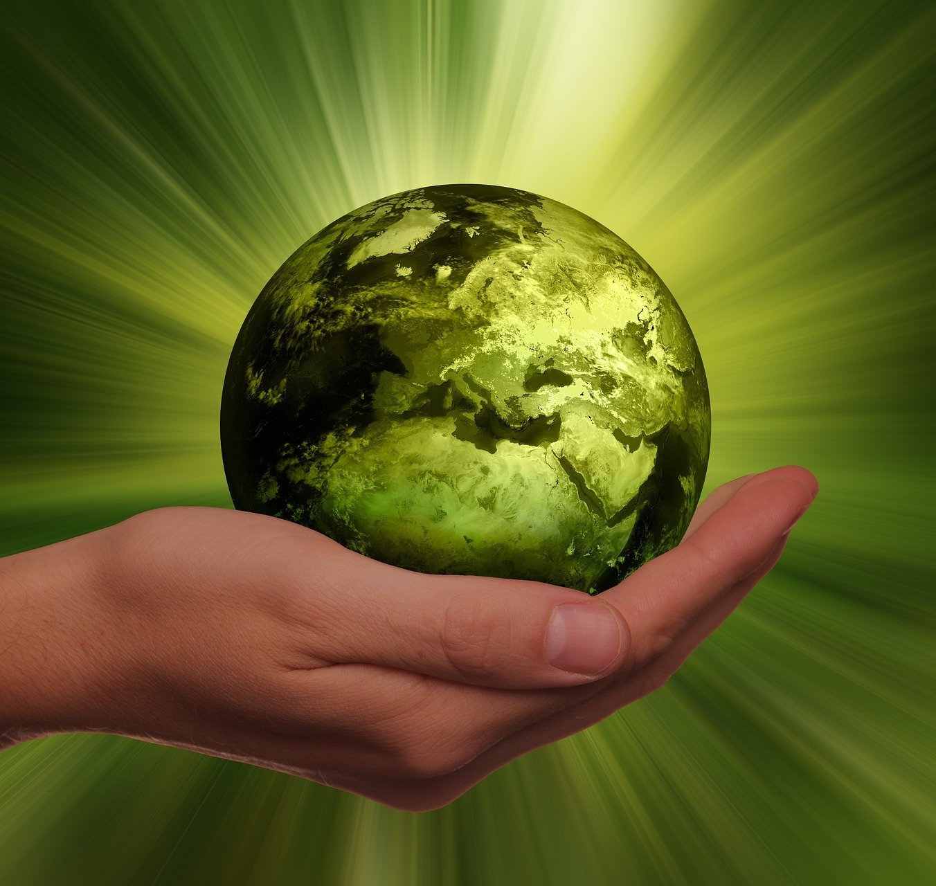 Image d'une main soutenant un globe terrestre entièrement vert